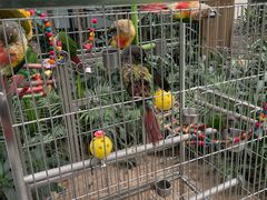 -南宫五洲植物乐园