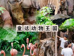 -长鹿旅游休博园
