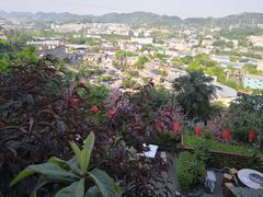 -枇杷园食为鲜火锅(南山店)