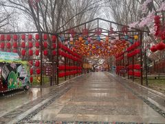 -哈密回王府景区