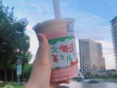 -陈家山荷花公园