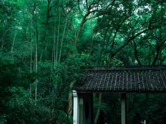 -虎跑公园