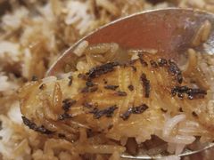 -华记煲仔华·煲仔饭(三元里万科里店)