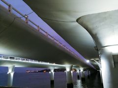 -演武大桥观景平台