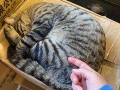 -正阳书局(西四南大街店)