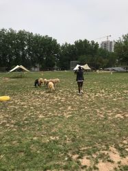 -上美四季动物农场