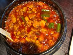 -陈麻婆豆腐总店