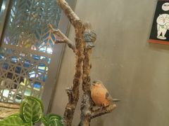 -湘当爱·鲜煮现炒(松岗立业路店)