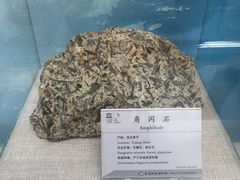 -延庆地质公园博物馆