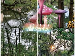 -桐乡凤凰湖