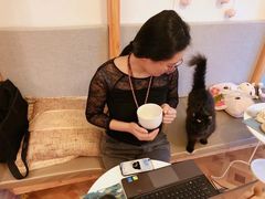 -MOYOYO猫咪咖啡店