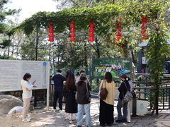 -沂蒙山旅游区云蒙景区(蒙山国家森林公园)
