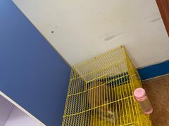 -格力东澳大酒店-蓝色海岸餐厅