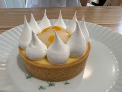 -猫里有甜