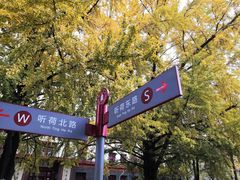 -四川大学(望江校区)