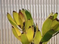 -雕刻时光咖啡馆(北苑店)