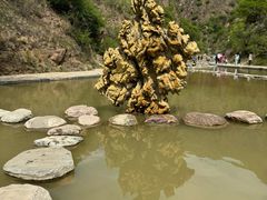 -桑干河大峡谷旅游区