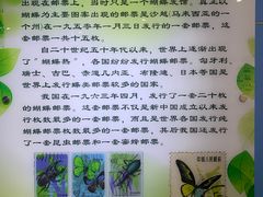 -上海昆虫博物馆