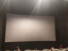 -万达影城(巴南万达广场IMAX店)