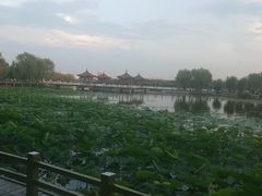 -长春市南湖公园