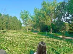 -白鹭湾湿地公园