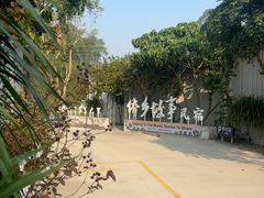 -开平碉楼文化旅游区马降龙景区
