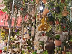 -循礼门鲜花花市(武汉循礼门店)