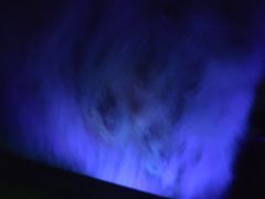 -宠颐生宠物医院·骨外科·犬猫全科诊疗中心(池州店)