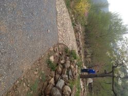 大望京公园儿童游乐场-大望京儿童游乐场