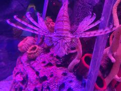 -沈阳海洋探索中心