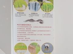 -嘉和一品粥(津华昌道店)