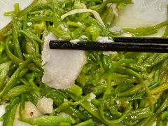 -马帮菜馆·美味野生菌