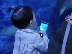 -多彩贵州城极地海洋世界