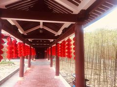 -莆田南少林寺
