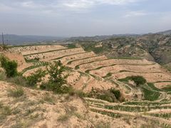 -天下黄河第一湾