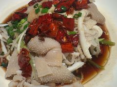 -佬肥猫(国华广场店)