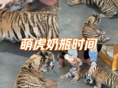 -大连森林动物园