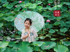 -沐仙湖湿地公园