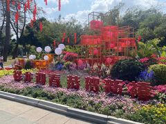 -晓港公园