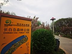 -长白岛森林公园