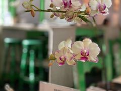 -Carmen卡门西班牙餐厅