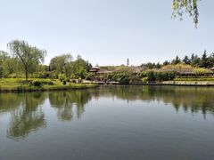 -济南植物园