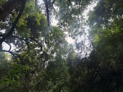 -四门塔风景区