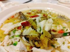 -山泉公馆酒家(珠江新城店)