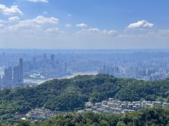 -大金鹰园