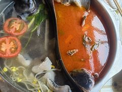 -芦苇荡·酸汤鱼(回龙观店)