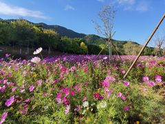 -北京西山国家森林公园