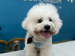 -贝利宠物医院·骨科·眼科·肿瘤转诊中心(南坪诊疗中心)