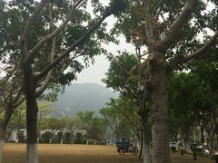 -厦门国家会计学院