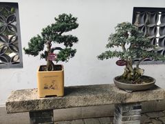 -上海醉白池公园